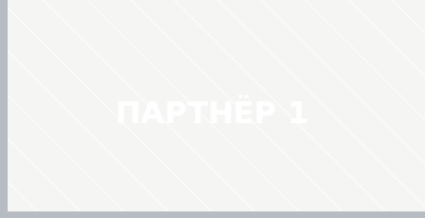 Партнёр 1